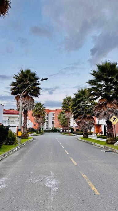 Entrada residencial arborizada con palmeras y edificios en Rionegro, Antioquia, cerca al parque de San Antonio