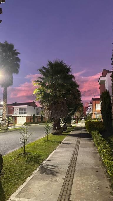 Atardecer morado y rosa sobre calle residencial con palmeras en Rionegro, Antioquia