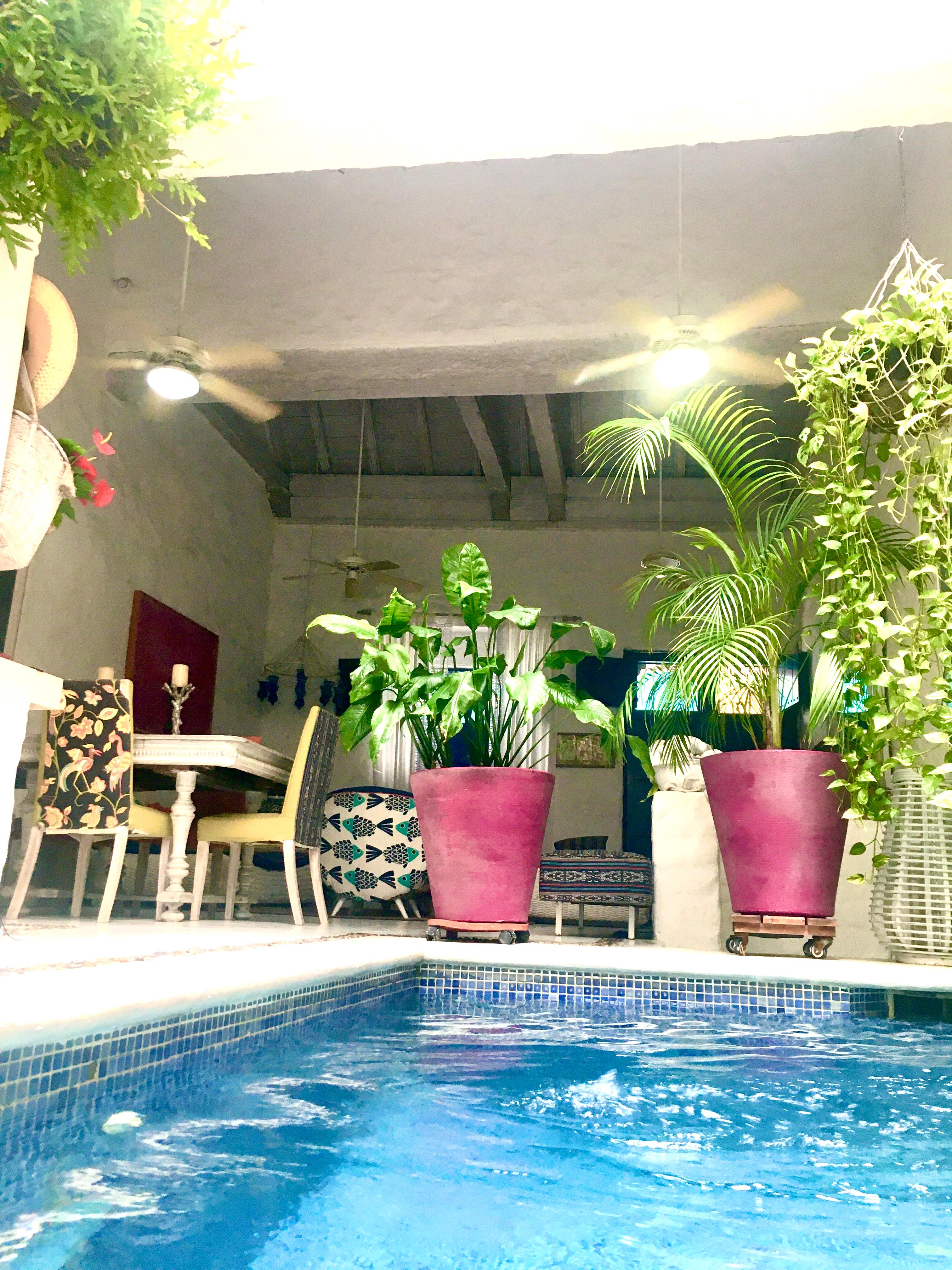 Piscina privada con plantas tropicales y zona social en casa de alquiler en Cartagena de Indias