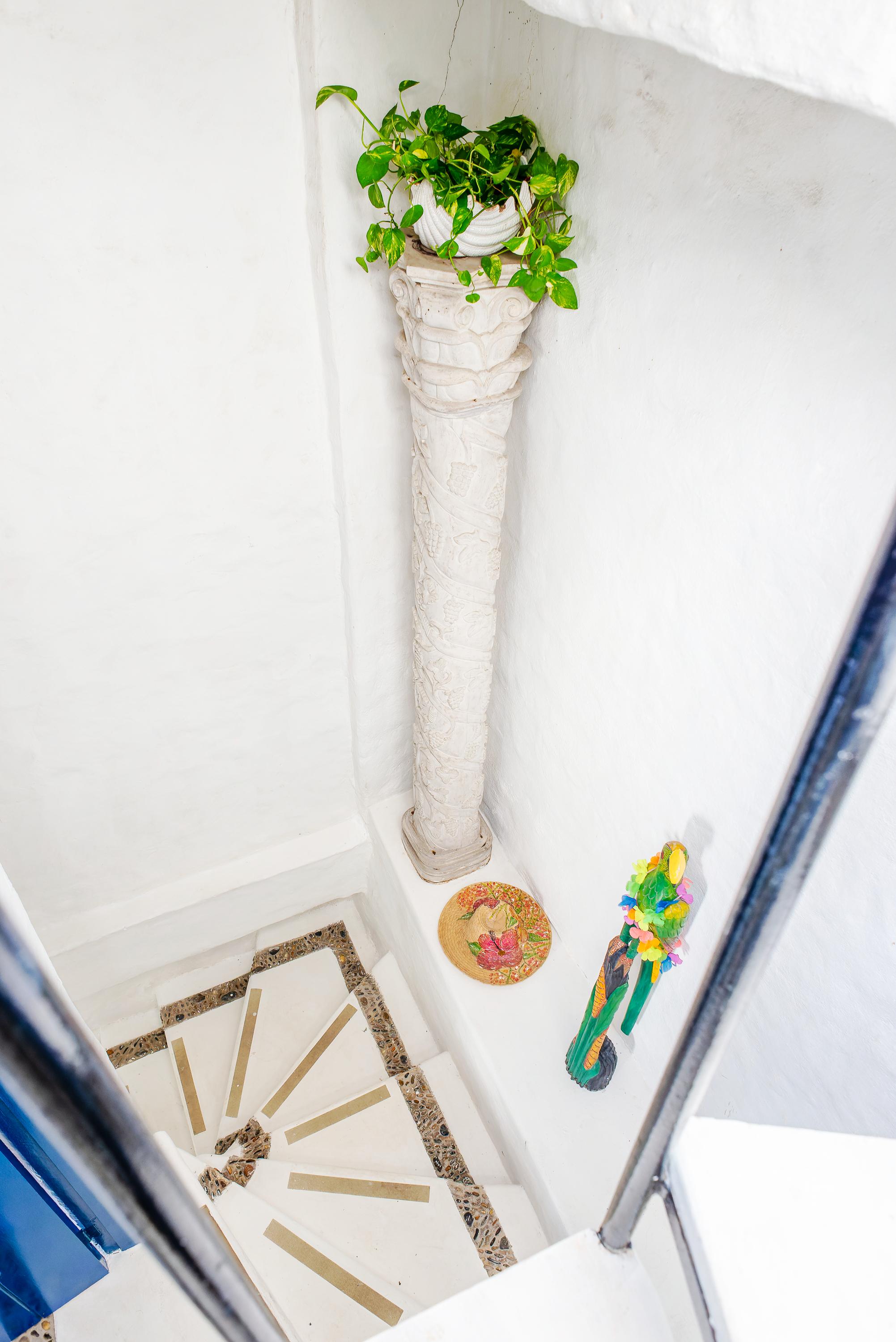 Escaleras elegantes con columna decorativa y plantas en casa privada de Cartagena de Indias
