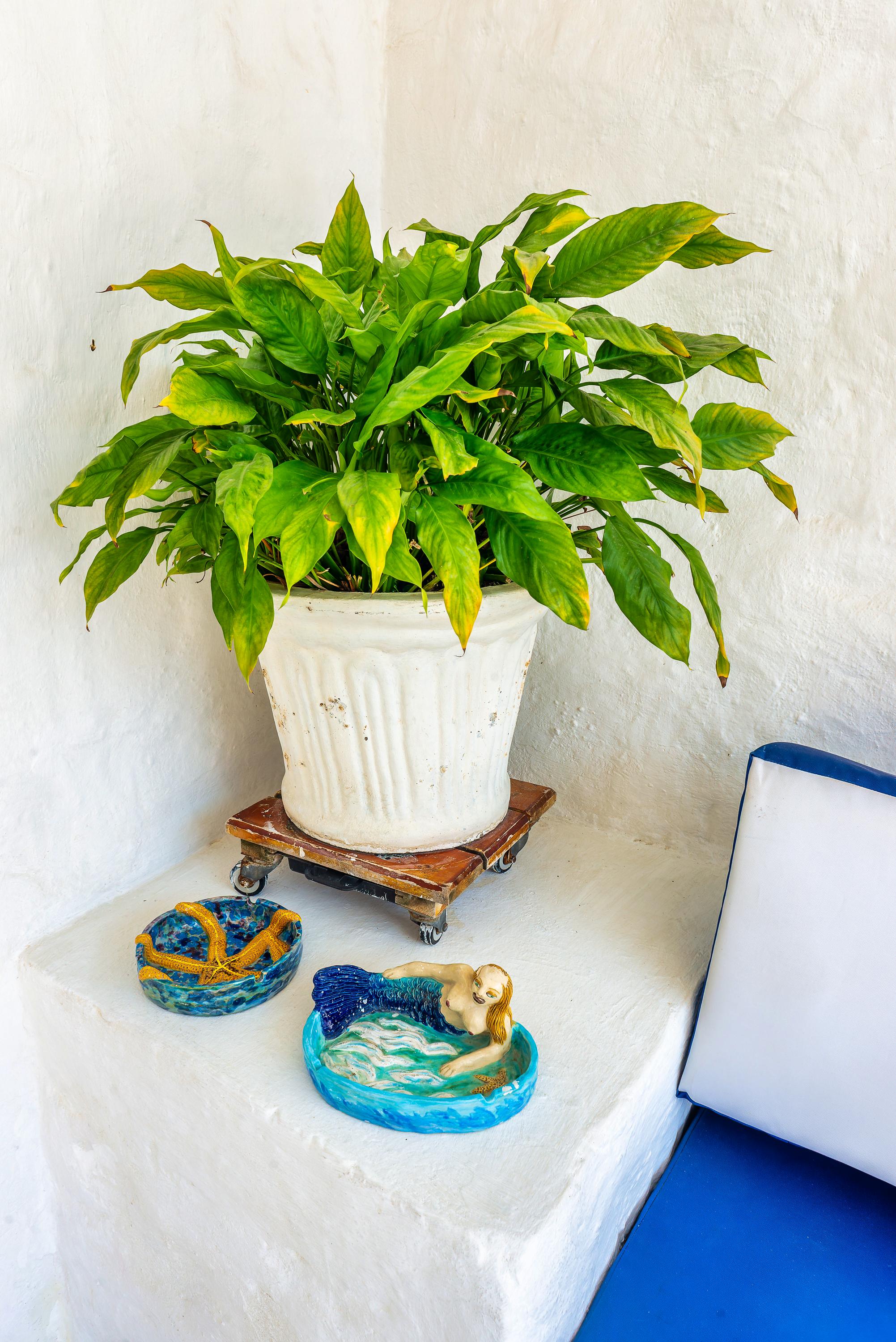 Planta decorativa con figuras artesanales en casa privada de Cartagena de Indias