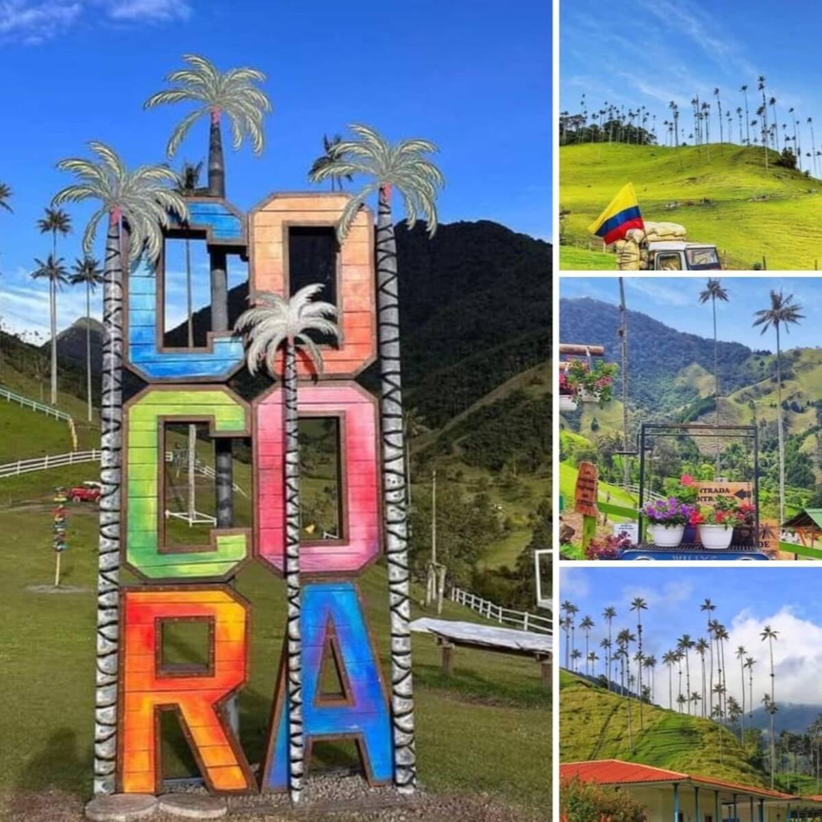 Casa de alquiler vacacional Brisas del Quindío en Montenegro con vista a palmas de cera del Valle del Cocora