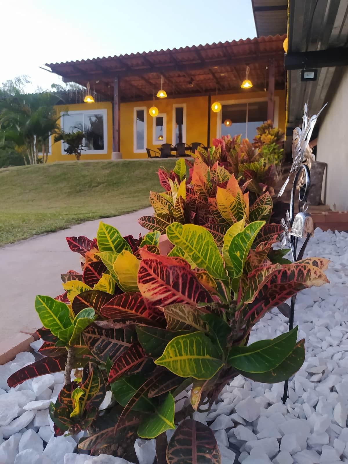 Jardín tropical con plantas coloridas en casa vacacional Brisas del Quindío Montenegro