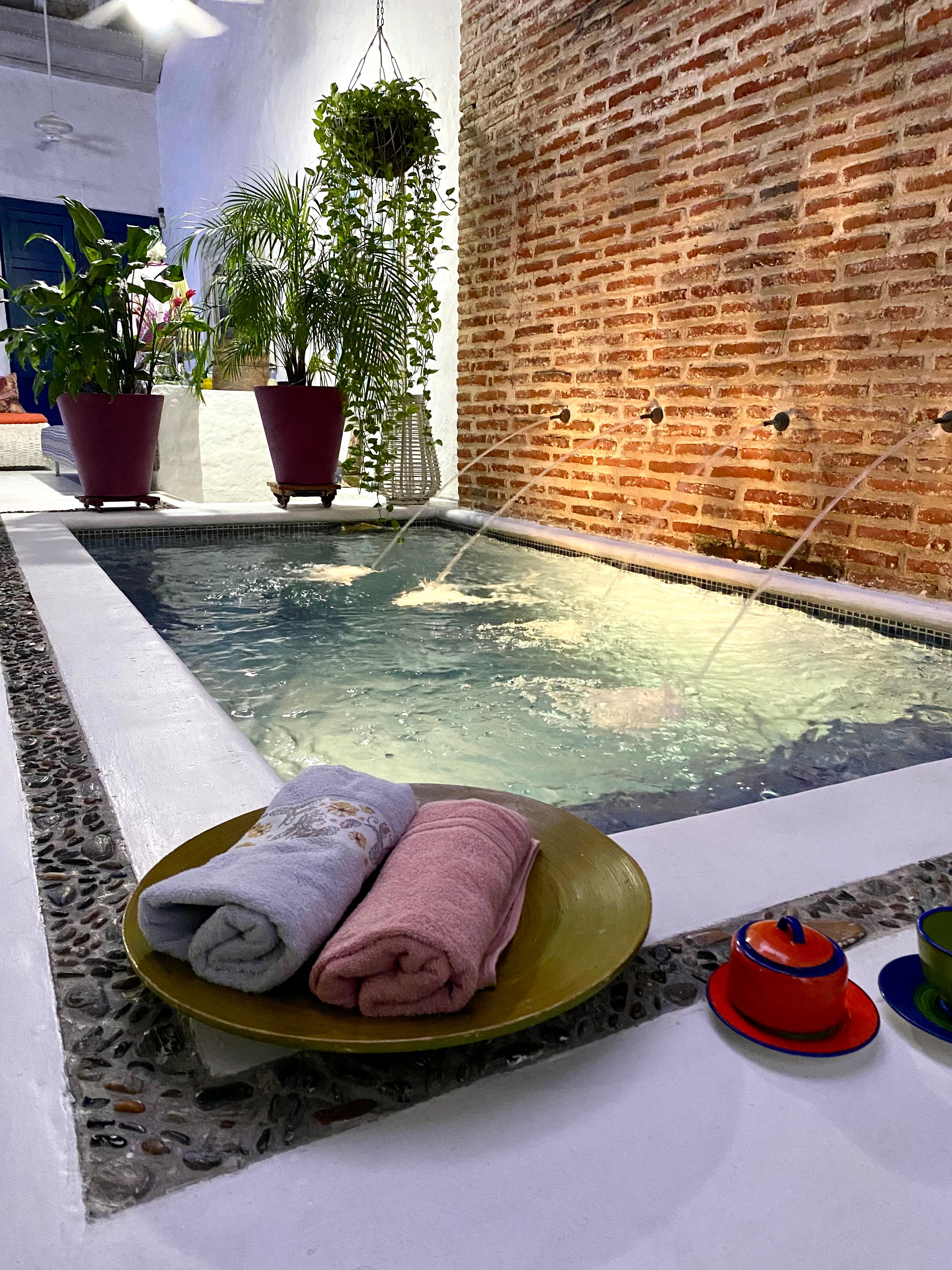 Jacuzzi privado con pared de ladrillo y plantas decorativas en casa de Cartagena de Indias