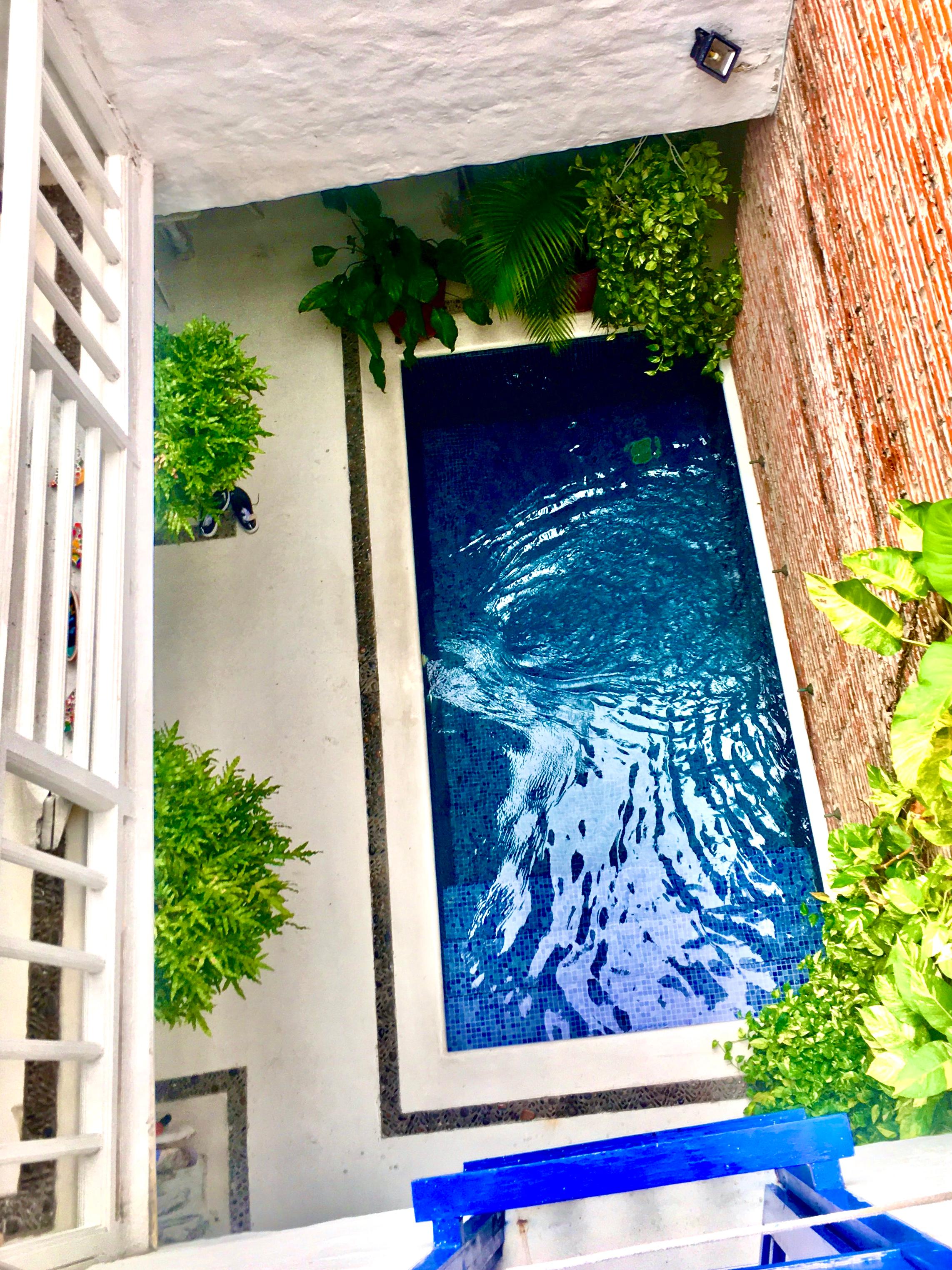 Piscina privada con mosaico azul y plantas tropicales en casa vacacional de Cartagena de Indias
